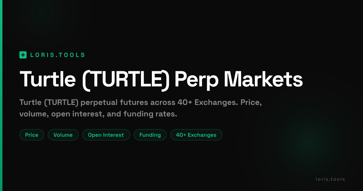Turtle (TURTLE) Perpetual Futures | Price, Volume, OI & Funding | Loris ...