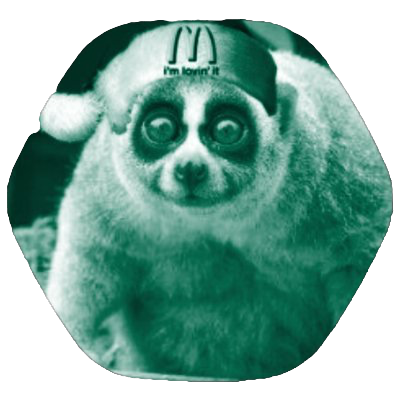 Loris